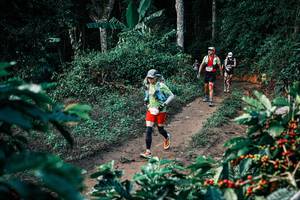 BIB: 
                            <button type="button" onclick="openModal(25830630)" class="btn btn-primary btn-sm float-right btn-popup" data-toggle="modal" data-target=".modal-high-quality">
                        <i class="fas fa-shopping-cart"></i> Add to Cart
                    </button>
                                            <button type="button" onclick="isThisMe(25830630, true)" class="btn btn-success btn-sm float-right btn-popup btn-isme hidden" data-toggle="tooltip" data-placement="bottom" title="นี่คือรูปของคุณใช่ไหม คลิกที่นี่เพื่อเอาเข้าอัลบั้ม">
                        <i class="fas fa-plus"></i> Add to album
                    </button>
                    <button type="button" onclick="isThisMe(25830630, false)" class="btn btn-warning btn-sm float-right btn-popup btn-isnotme hidden">
                        <i class="fas fa-ban"></i> Remove from album
                    </button>